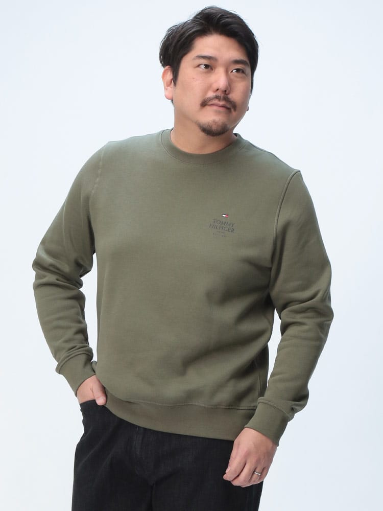 トレーナー 裏起毛 胸ロゴ クルーネック スウェット トップス 長袖 プルオーバー 起毛 秋冬 大きいサイズ メンズ