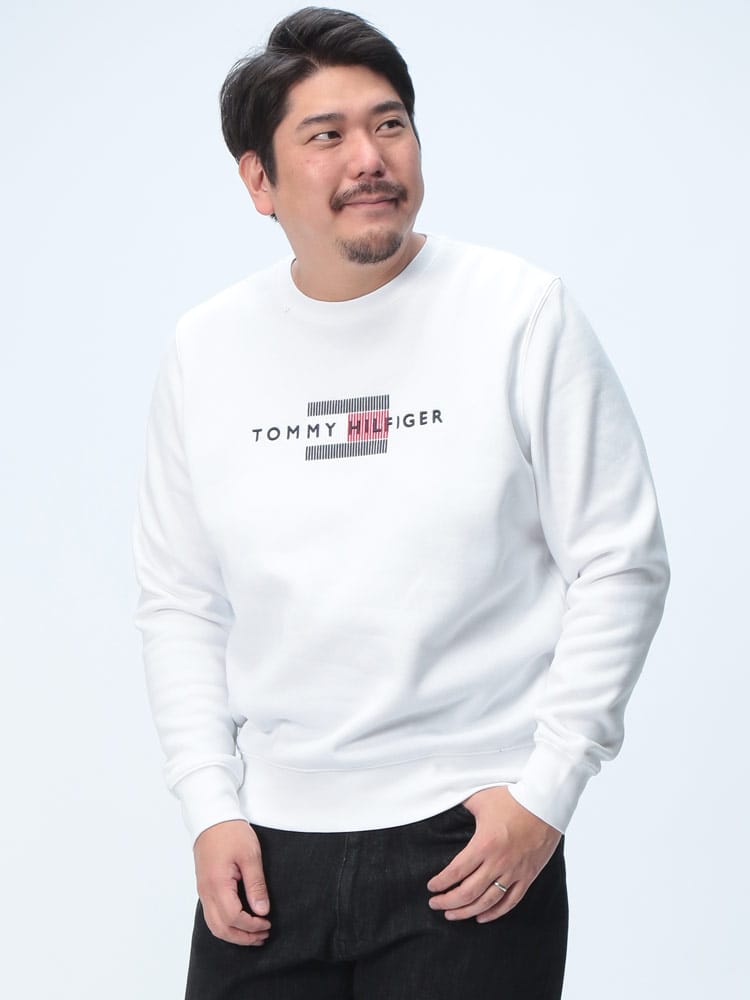 トレーナー 裏起毛 ロゴ刺繍 クルーネック スウェット トップス 長袖 プルオーバー 起毛 秋冬 大きいサイズ メンズ