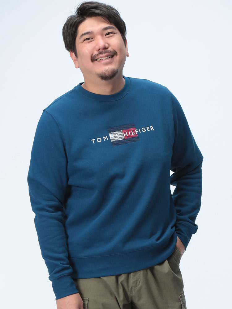 トレーナー 裏起毛 ロゴ刺繍 クルーネック スウェット トップス 長袖 プルオーバー 起毛 秋冬 大きいサイズ メンズ