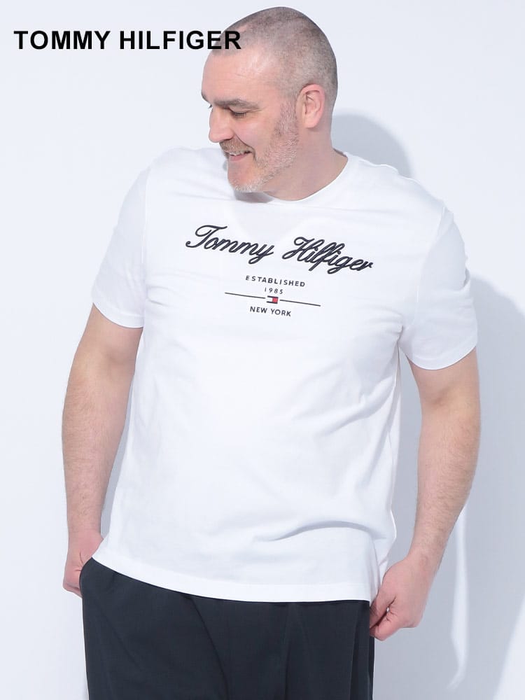 スクリプトロゴ レギュラーフィット クルーネック 半袖 Tシャツ 大きいサイズ メンズ