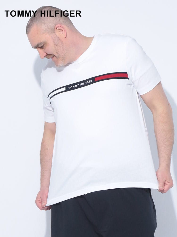 フラッグライン レギュラーフィットクルーネック 半袖 Tシャツ 大きいサイズ メンズ
