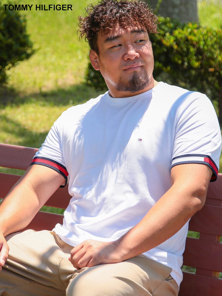 フラッグカラーライン レギュラーフィット クルーネック 半袖 Tシャツ 大きいサイズ メンズ