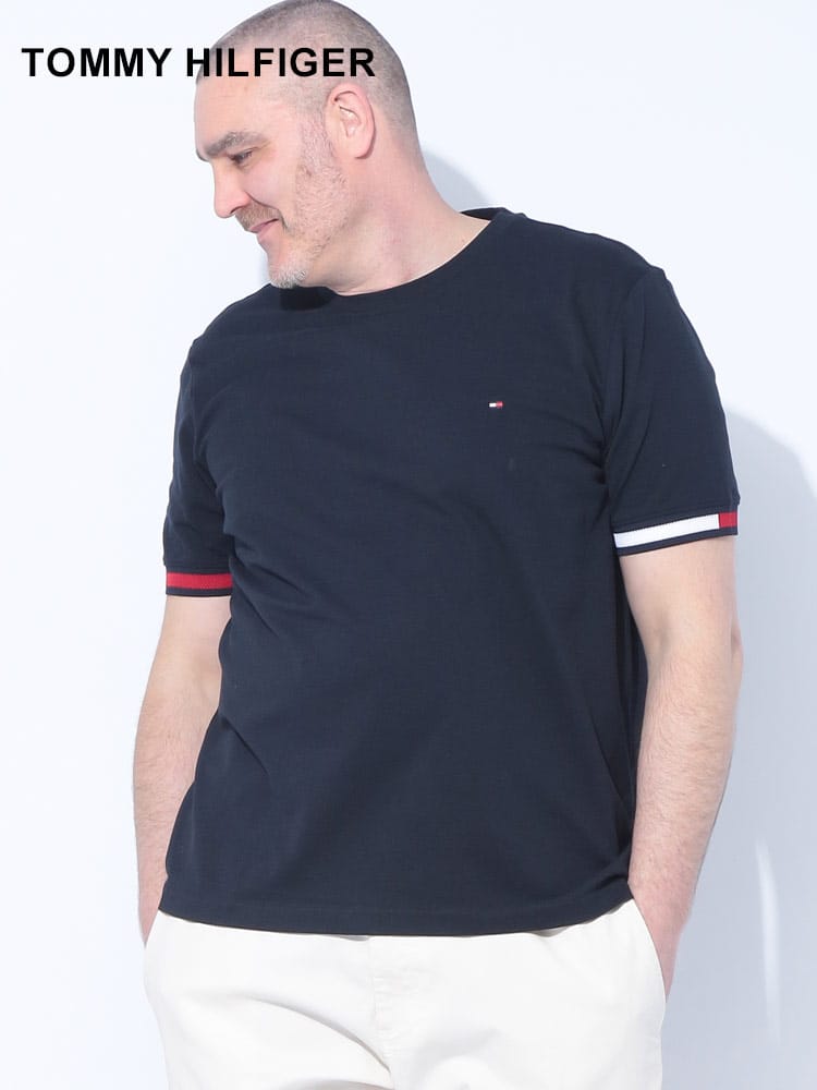 フラッグカラーライン レギュラーフィット クルーネック 半袖 Tシャツ 大きいサイズ メンズ