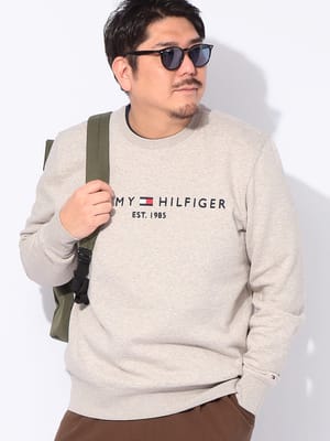 トレーナー 長袖 大きいサイズ メンズ 裏起毛 ロゴプリント クルーネック トップス スウェット プルオーバー 秋 冬