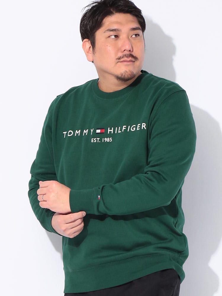 トレーナー 長袖 大きいサイズ メンズ 裏起毛 ロゴプリント クルーネック トップス スウェット プルオーバー 秋 冬