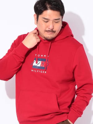 パーカー 長袖 大きいサイズ メンズ ロゴプリント プルオーバー トップス フード スウェット 秋 冬