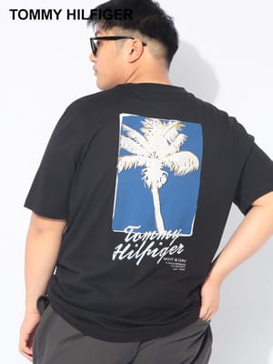 Tシャツ 半袖 メンズ 大きいサイズ グラフィックフォト バックプリント クルーネック PALM PHOTO PRINT TEE トップス Tシャツ フォトT 