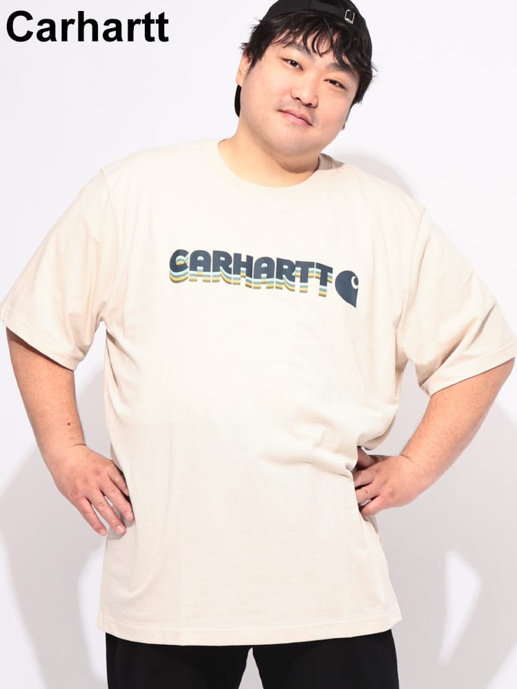 Tシャツ 半袖 メンズ 大きいサイズ ロゴプリント クルーネック カットソー トップス プリント コットン 春 夏