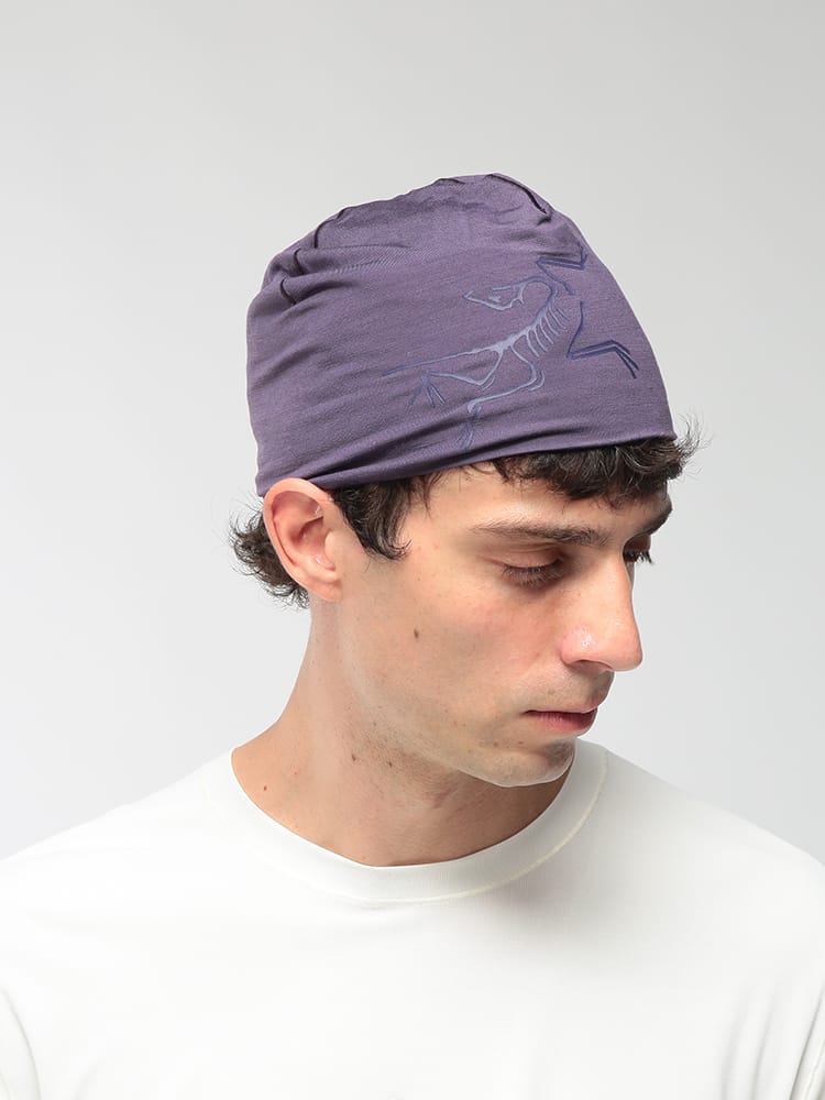 ARC'TERYX (アークテリクス) メンズ トーク帽 ロゴ ニットキャップ Satoro Merino Toque ARCX000009936