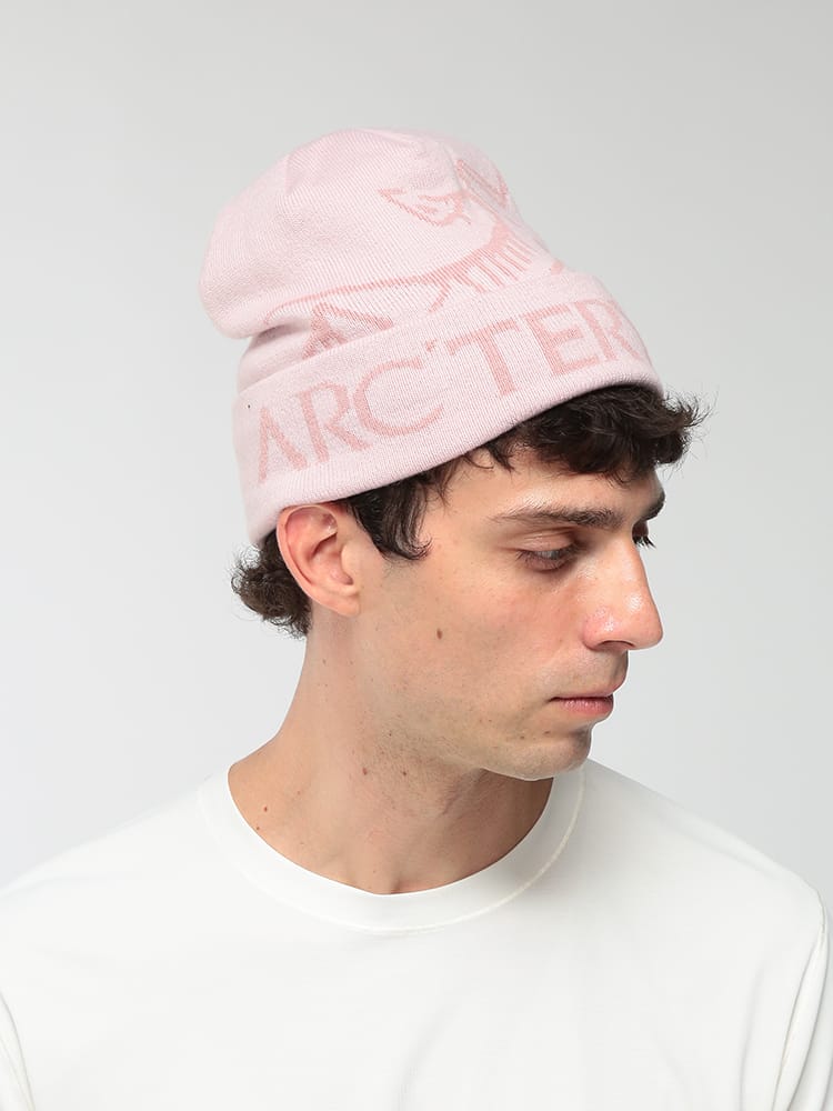 ARC'TERYX (アークテリクス) メンズ ニットキャップ BIGロゴ ニット帽 BIRD WORD TOQUE ARCX000010065