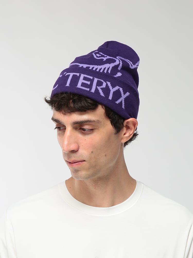 ARC'TERYX (アークテリクス) メンズ ニットキャップ BIGロゴ ニット帽 BIRD WORD TOQUE ARCX000010065