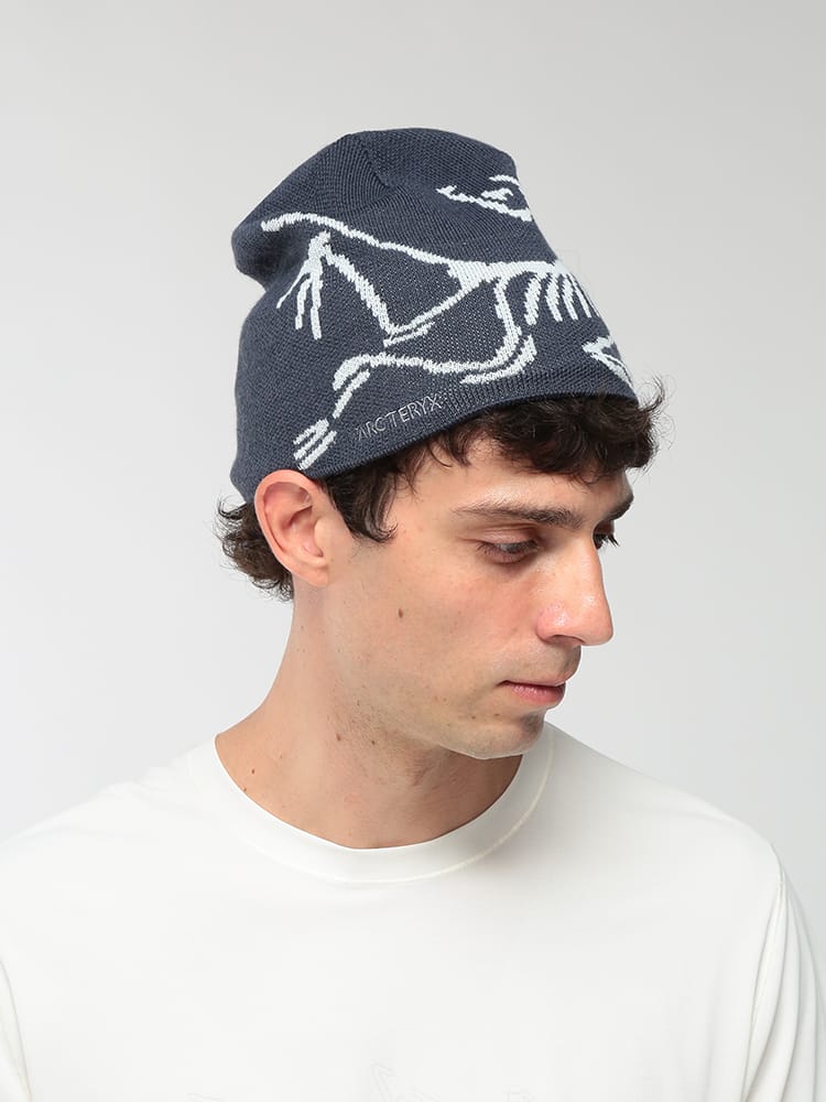 ARC'TERYX (アークテリクス) メンズ ニットキャップ 裏フリース BIGロゴ ニット帽 BIRD HEAD TOQUE ARCX000006756