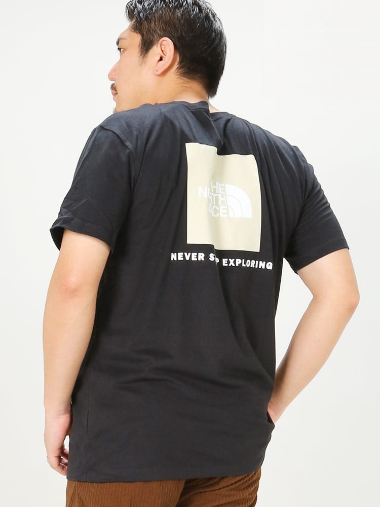 大きいサイズ メンズ THE NORTH FACE (ザ ノースフェイス) 綿100％ BOXプリント クルーネック 半袖 Tシャツ BOX NSE TEE