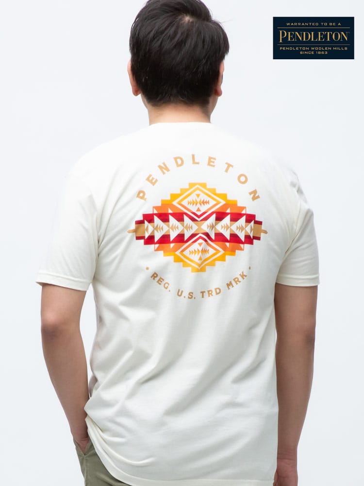大きいサイズ メンズ PENDLETON (ペンドルトン) バックプリント クルーネック 半袖 Tシャツ Pinto Mountains Graphic