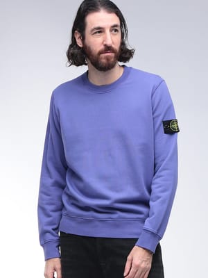 STONE ISLAND (ストーンアイランド) 袖ロゴ クルーネック トレーナー SI6100060S0051 メンズ
