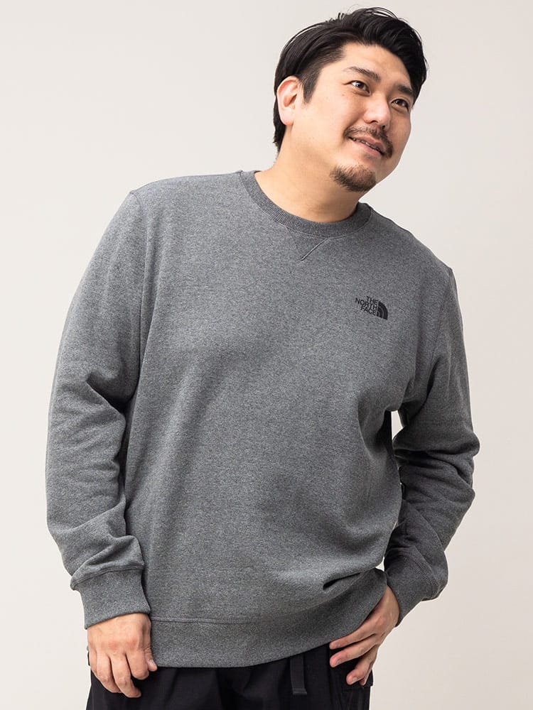 大きいサイズ メンズ THE NORTH FACE (ザ ノースフェイス) 裏起毛 クルーネック トレーナー M SIMPLE DOME CREW