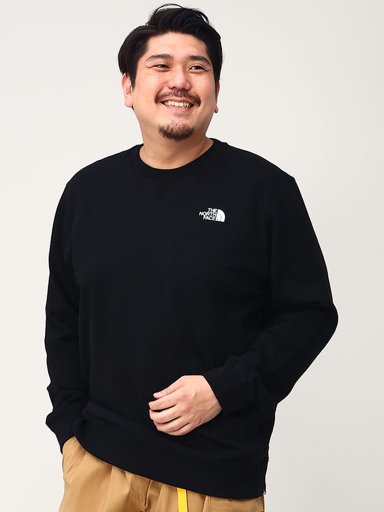 大きいサイズ メンズ THE NORTH FACE (ザ ノースフェイス) 裏起毛 クルーネック トレーナー M SIMPLE DOME CREW