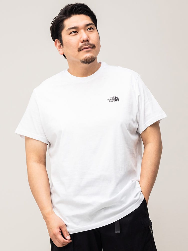 大きいサイズ メンズ THE NORTH FACE (ザ ノースフェイス) ワンポイント クルーネック 半袖 Tシャツ SIMPLE DOME TEE-EU