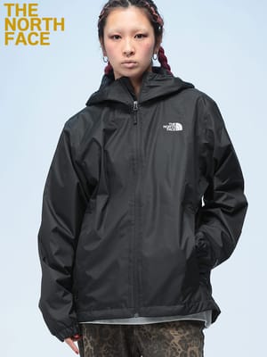 THE NORTH FACE (ザ ノースフェイス) 撥水 ワンポイントロゴ スタンド 