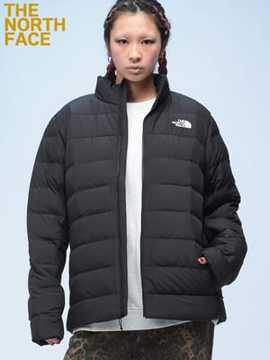 THE NORTH FACE (ザ ノースフェイス) 撥水 ワンポイントロゴ スタンド ダウンジャケット M ACONCAGUA 3 JACKET 600フィルパワー NF0A84HZ