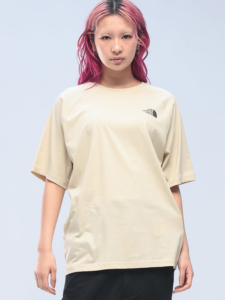 THE NORTH FACE (ザ ノースフェイス) マウンテンバックロゴ クルーネック 半袖 Tシャツ NF0A87NU