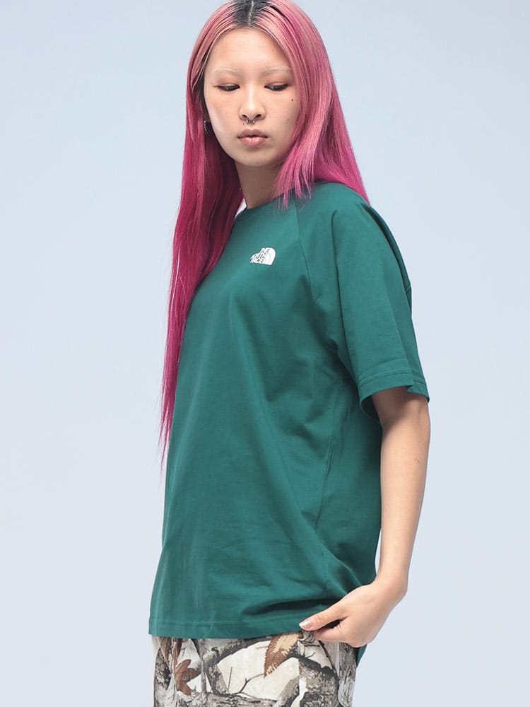 THE NORTH FACE (ザ ノースフェイス) マウンテンバックロゴ クルーネック 半袖 Tシャツ NF0A87NU