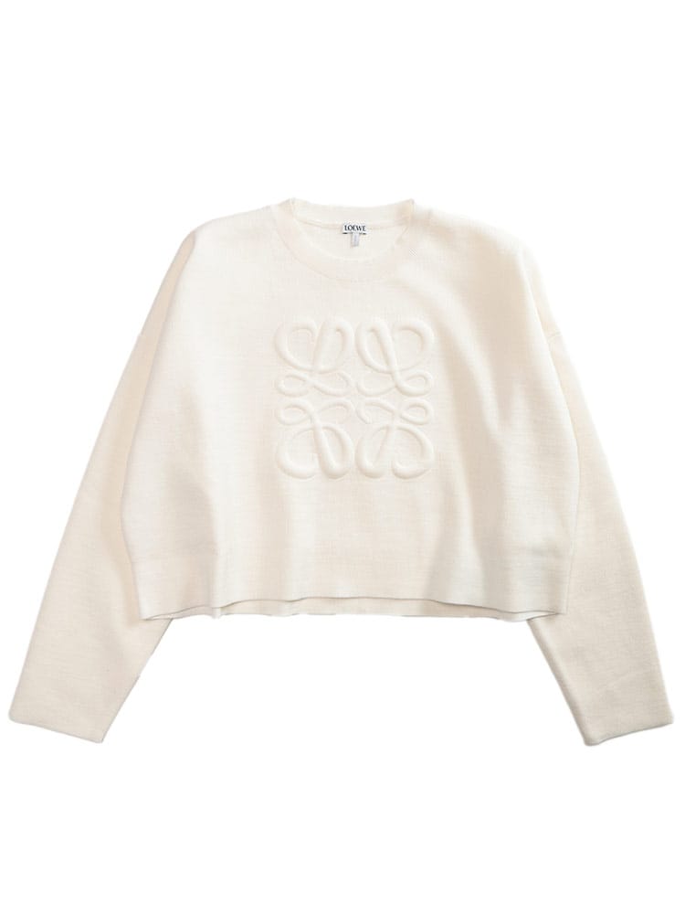 LOEWE (ロエベ) BIGロゴ クルーネック ニット ANAGRAM レディース L 
