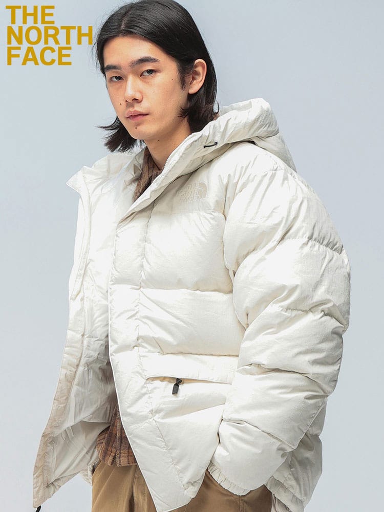THE NORTH FACE (ザ ノースフェイス) フード フルジップ ダウンジャケット 550フィル HMLYN DOWN DTM PARKA NF0A8EBH メンズ ユニセックス トップス アウター ジャケット ブルゾン ダウン フード