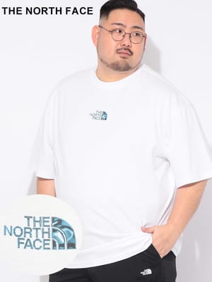 Tシャツ 半袖 メンズ 大きいサイズ ロゴプリント クルーネック カットソー オーバーサイズ トップス コットン シンプル 春 夏