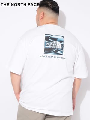 Tシャツ 半袖 メンズ 大きいサイズ バックプリント クルーネック カットソー オーバーサイズ トップス コットン プリント 春 夏