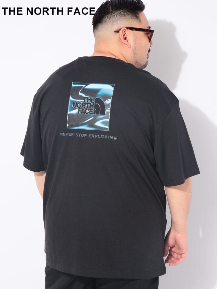 Tシャツ 半袖 メンズ 大きいサイズ バックプリント クルーネック カットソー オーバーサイズ トップス コットン プリント 春 夏