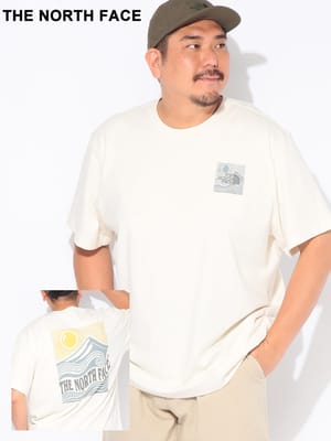 Tシャツ 半袖 メンズ 大きいサイズ バックプリント クルーネック カットソー MOUNTAIN ESCAPE RELAXED SS TEE トップス コットン プリント 涼しい 春 夏