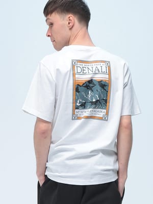 THE NORTH FACE (ザ ノースフェイス) Tシャツ 半袖 バックプリント クルーネック カットソー トップス プリント コットン NF0A8GUW