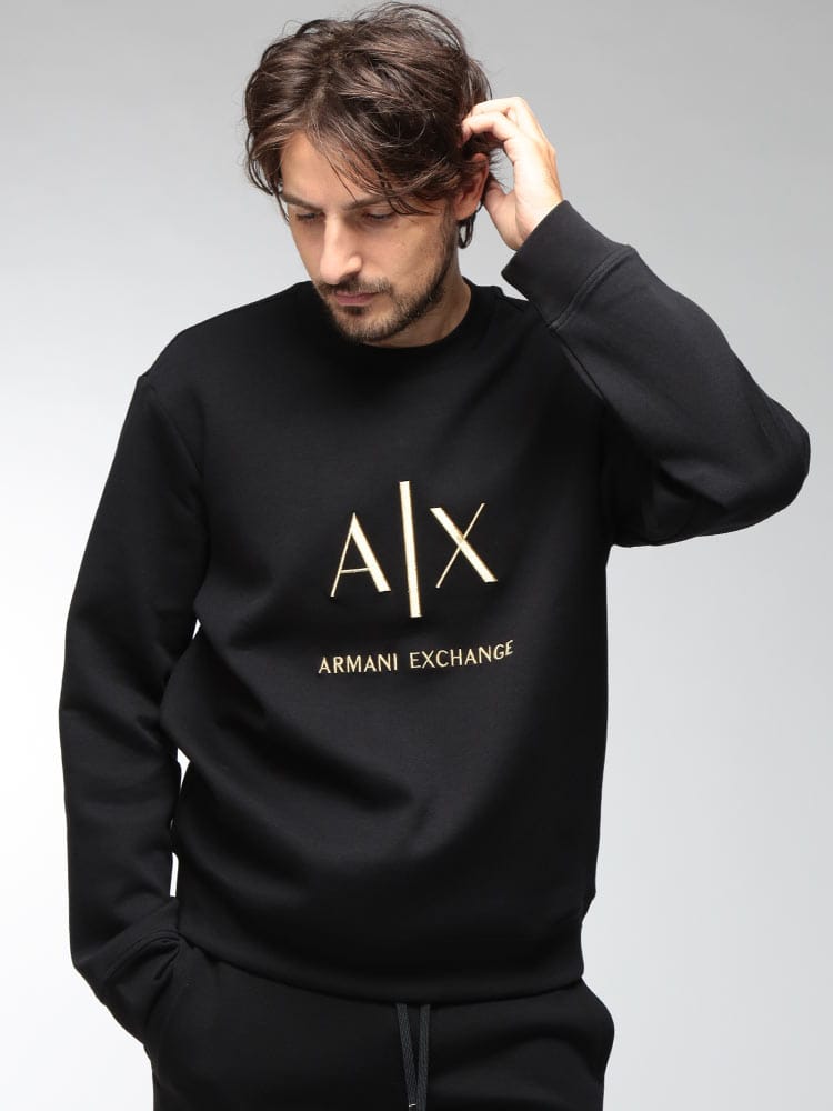 ARMANI EXCHANGE (アルマーニ エクスチェンジ) メンズ トレーナー 長袖 EC限定 エンブロイダードロゴ クルーネック スウェットシャツ M3551AF20150 AEXM3551AF20150
