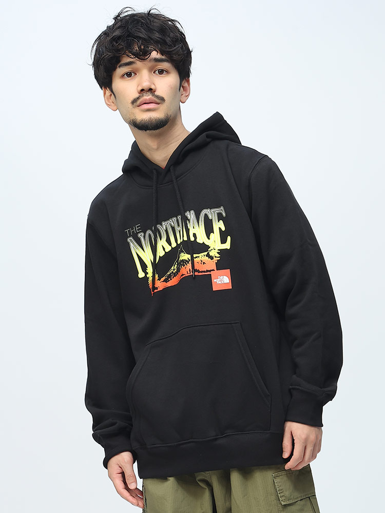 THE NORTH FACE (ザ ノースフェイス) 裏起毛 グラフィックロゴ プリント プルオーバー 長袖 パーカー Places We Love Hoodie