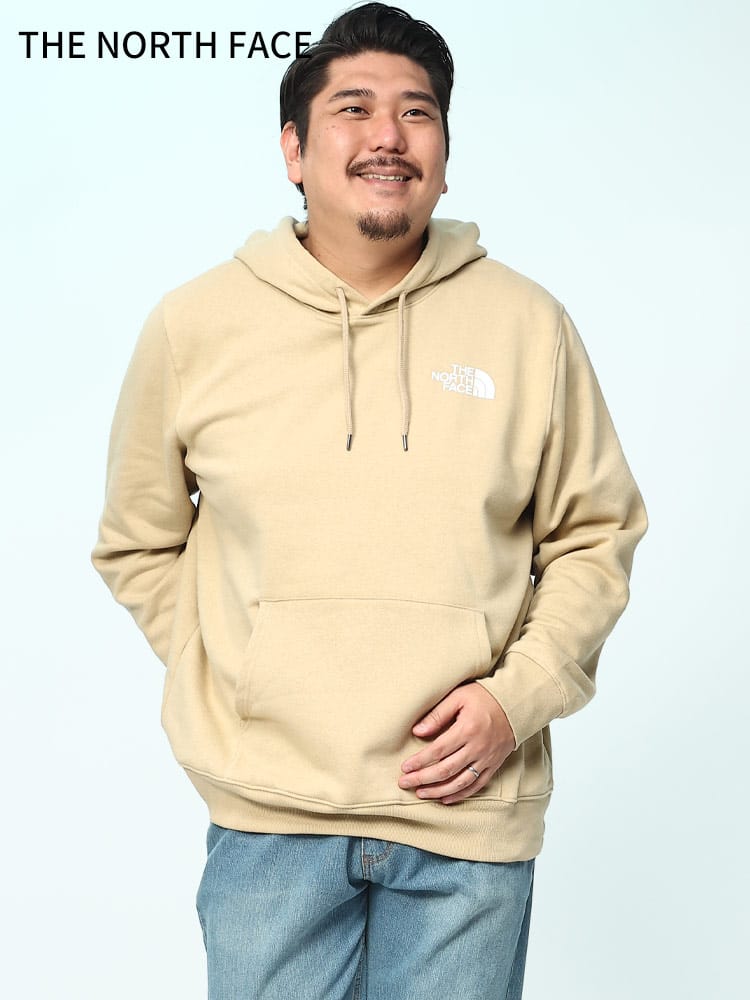 THE NORTH FACE ザ ノースフェイス パーカー バックプリント プルオーバー フーディー BOX NSE P/O HOODIE  大きいサイズ メンズ ブランド