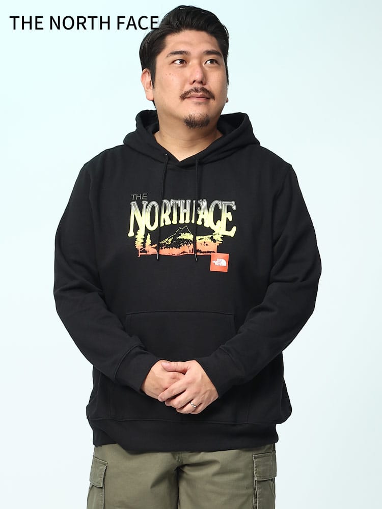 裏起毛 プリント プルオーバー パーカー PLACES WE LOVE HOODIE (THE NORTH FACE) ザ ノースフェイス 大きいサイズ メンズ 