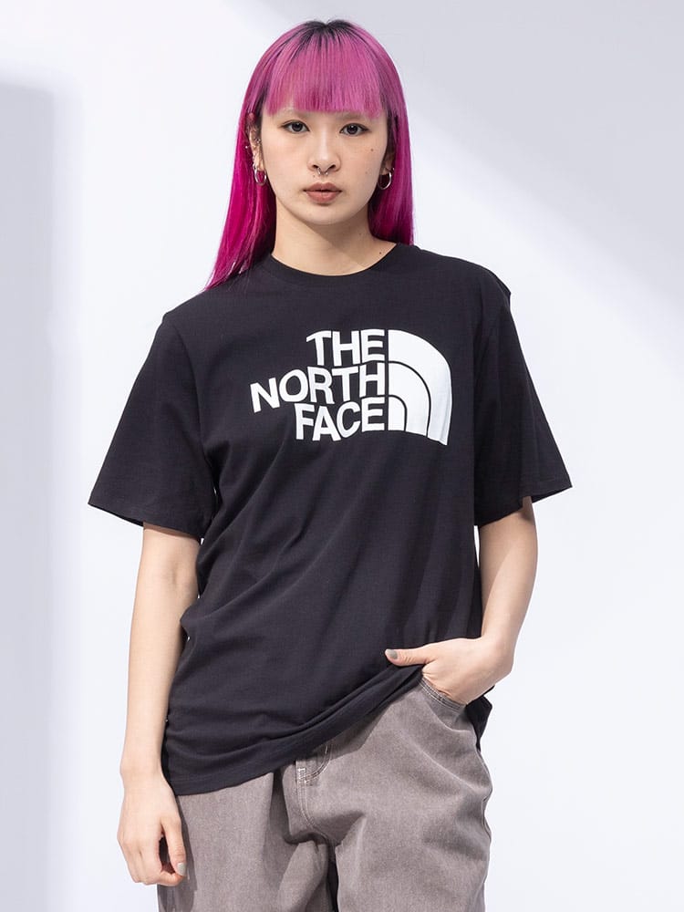 THE NORTH FACE (ザ ノースフェイス) ロゴプリント クルーネック 半袖 Tシャツ Half Dome Tee