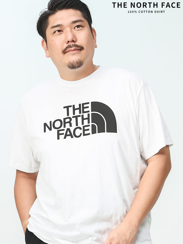 宮城の古着屋さん_THETHE NORTH FACE　ザノースフェイス　Tシャツ　半袖　ロゴ