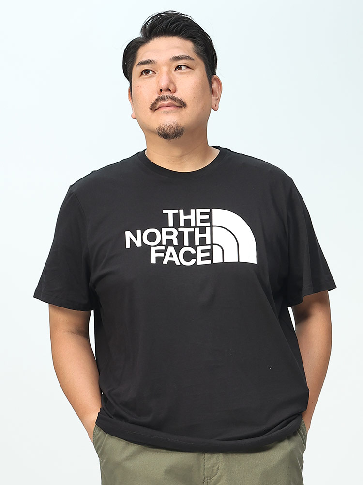 THE NORTH FACE ザ ノースフェイス 半袖 Tシャツ ロゴプリント クルー