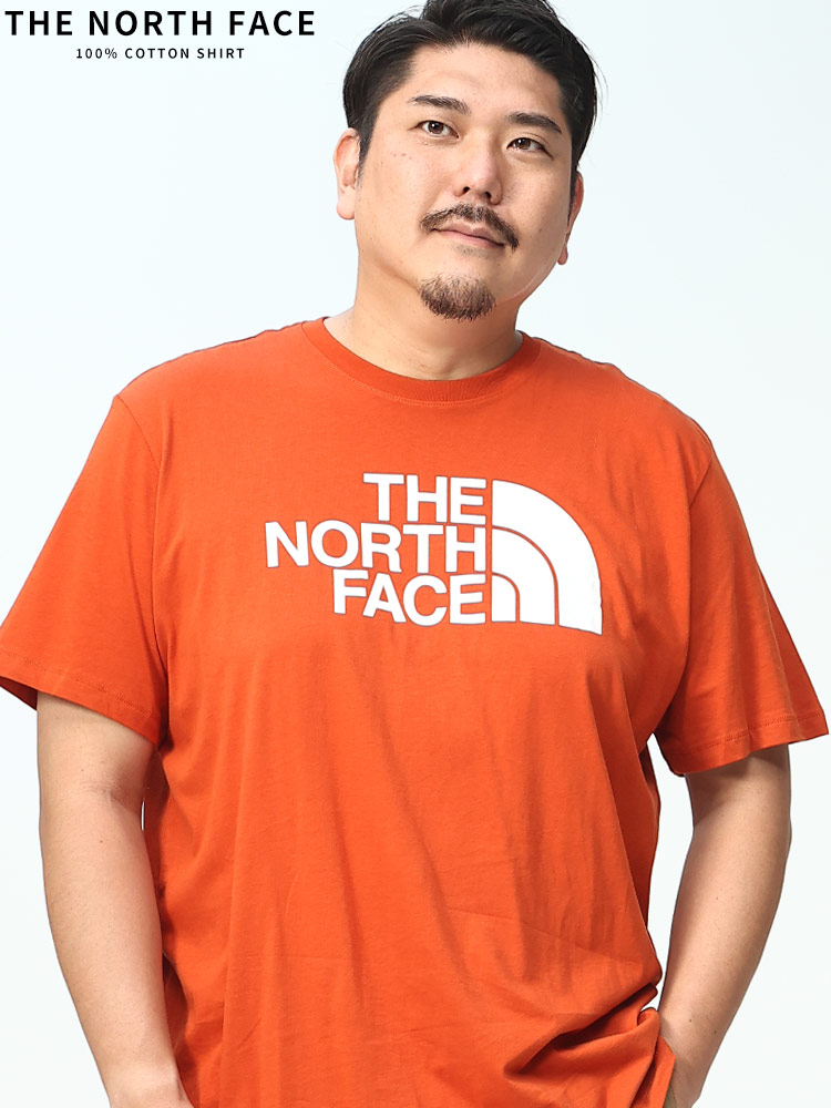 THE NORTH FACE ザ ノースフェイス 半袖 Tシャツ ロゴプリント クルー 