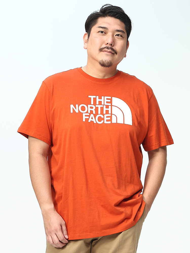 THE NORTH FACE ザ ノースフェイス 半袖 Tシャツ ロゴプリント 