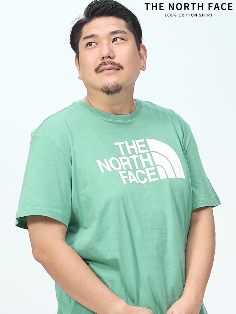 在庫処分 返品交換不可 THE NORTH FACE ザ ノースフェイス 半袖 Tシャツ ロゴプリント クルーネック ロゴT 大きいサイズ メンズ カットソー ブランド