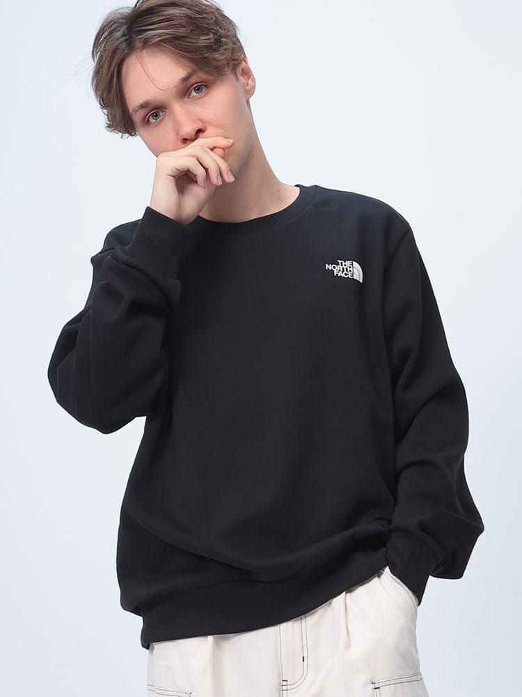THE NORTH FACE (ザ ノースフェイス) 裏起毛 ミニロゴ スウェットシャツ M SIMPLE DOME CREW NF0A89FB