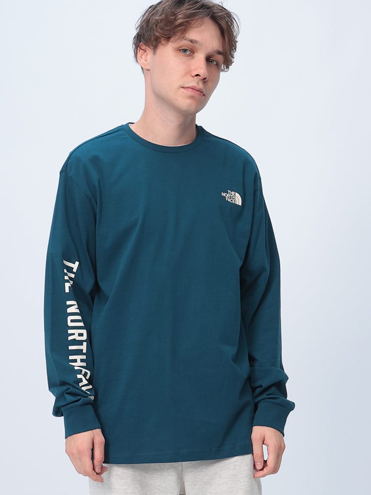 THE NORTH FACE (ザ ノースフェイス) 袖ラインロゴ 長袖 Tシャツ M L/S TEE VARSITY GRAPHIC NF0A89DH