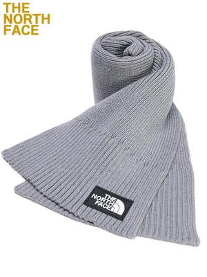 【無料ギフトラッピング対象品】 THE NORTH FACE (ザ ノースフェイス) ボックスロゴ マフラー LOGO BOX SCARF NF0A8CHG