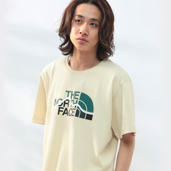 普通サイズ