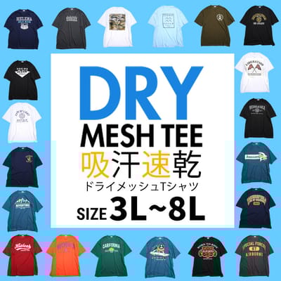 吸汗速乾が嬉しい！今年は豊富な18柄